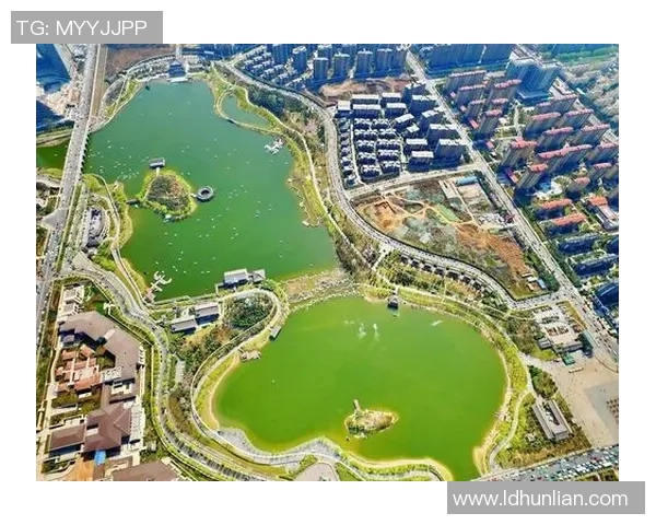 西安乒乓球队的崛起之路与辉煌成就全景回顾